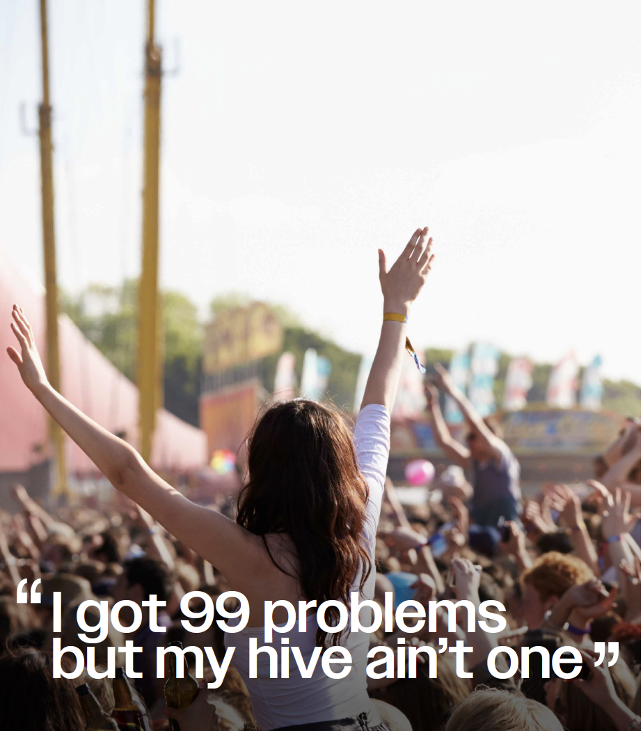 Energetic festival crowd